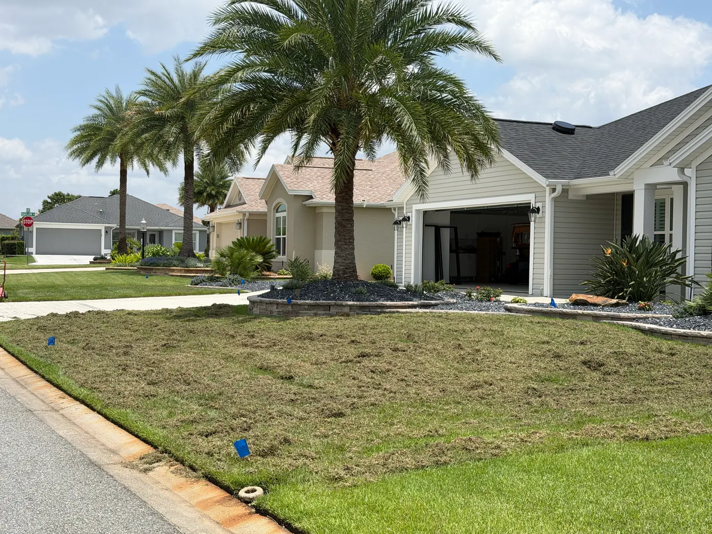 Dethatching · The Villages
